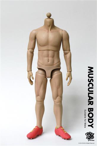Muscular Body - Suitable for Mata